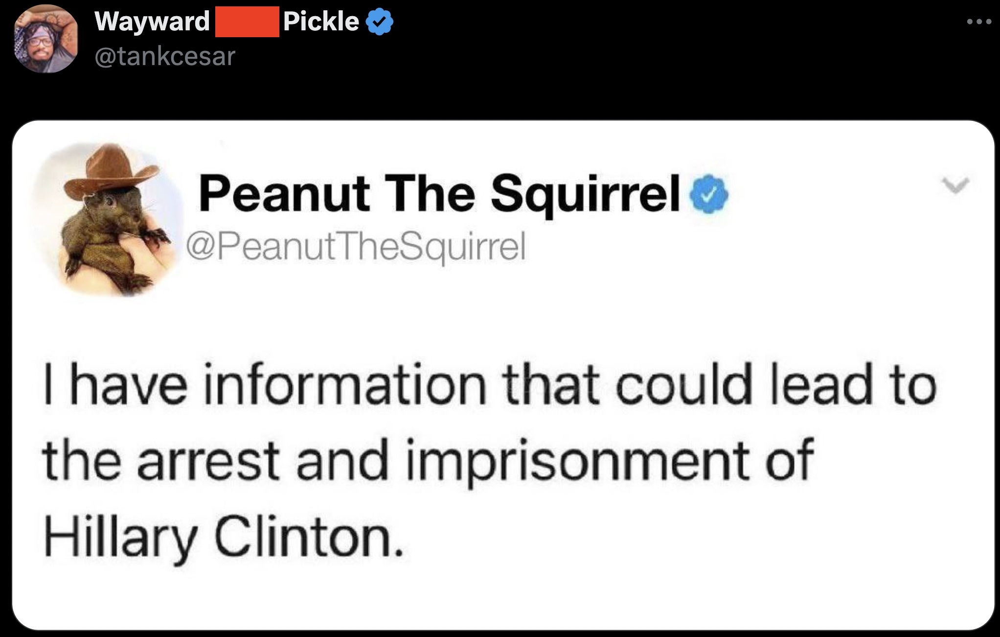 27 Tweets and Conspiracies Memorializing Peanut the Squirrel